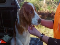 Dog Squad S12E06 480p x264-mSD EZTV