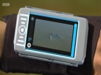 Andys Aquatic Adventures S01E14 480p x264-mSD [eztv]