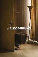 The Bloodhound 2020 720p WEBRip 800MB x264-GalaxyRG