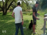 Straight Up Steve Austin S02E05 480p x264-mSD EZTV