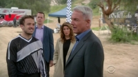 NCIS S14E21 HDTV x264-SVA[eztv]