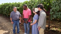 Roots Less Traveled S03E05 720p WEB h264-DiRT EZTV