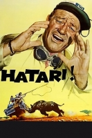 Hatari 1962 1080p BluRay X264-AMIABLE Hatari 1962 1080p BluRay X264-AMIABLE