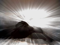 Paranormal Caught on Camera S08E06 480p x264-mSD EZTV Paranormal Caught on Camera S08E06 480p x264-mSD EZTV