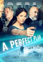 A Perfect Plan 2020 HDRip XviD AC3-EVO