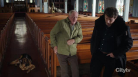Hudson and Rex S06E02 XviD-AFG EZTV