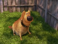 Dug Days S01E05 480p x264-mSD EZTV