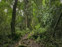Nature S41E10 The Hummingbird Effect 480p x264-mSD EZTV Nature S41E10 The Hummingbird Effect 480p x264-mSD EZTV