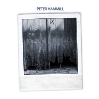 [art rock] (2017) Peter Hammill - From the Trees [FLAC,Tracks] [DarkAngie]