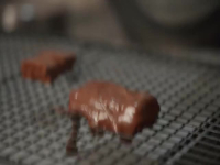 Snackmasters NZ S02E06 480p x264-mSD EZTV Snackmasters NZ S02E06 480p x264-mSD EZTV
