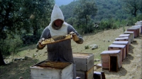 The Spirit of the Beehive (1973) [720p] [BluRay] [YTS] [YIFY]