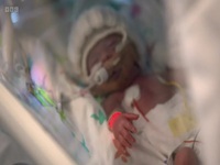 Tiny Lives S02E01 480p x264-mSD EZTV