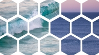 Lynda | Photoshop 2021 Essential Training: The Basics [FCO]