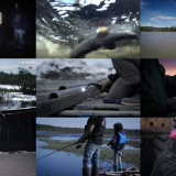 Life Below Zero S11E17 720p WEB x264-TBS Life Below Zero S11E17 720p WEB x264-TBS