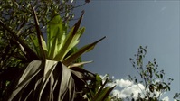 Essequibo Hidden River S01E01 XviD-AFG EZTV