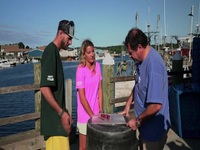 Wicked Tuna S12E20 480p x264-mSD EZTV Wicked Tuna S12E20 480p x264-mSD EZTV