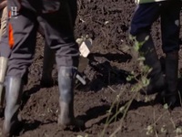 WWII Treasure Hunters S02E05 480p x264-mSD EZTV
