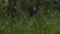 Swamp People Serpent Invasion S01E04 WEB h264-TRUMP [eztv]