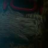 Into The Dark 2018 S01E03 WEBRip x264-TBS[TGx]