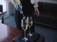 Brockmire S04E04 iNTERNAL 480p x264-mSD [eztv]